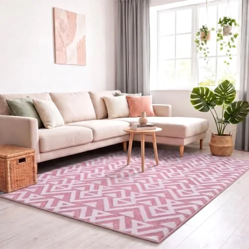 LOCHAS Ultra Soft Shag Rug 4 × 6 ft, Pink