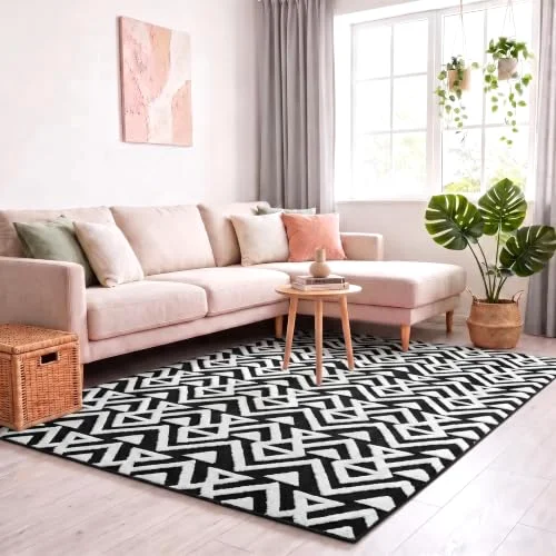 LOCHAS Ultra Soft Shag Rug 4 × 6 ft, Black
